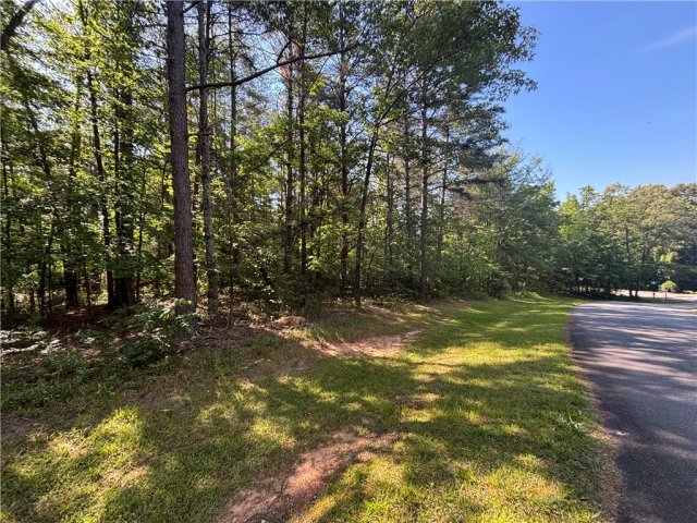 Lot 46 Princess Tree Way pending home in Cliffs At Keowee Vineyards, Sunset, SC
