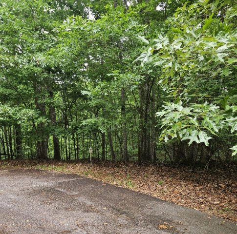 2290 Chicory Court active home in Chickasaw Point, Westminster, SC