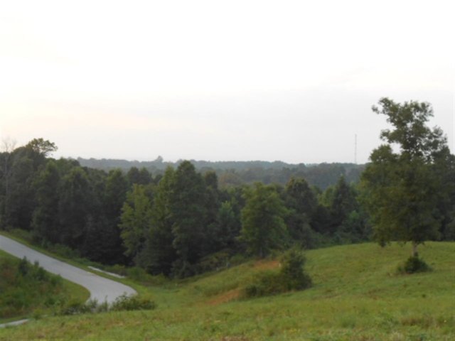 Lot 21 Sunset Ridge Paramount Drive sold home in Sunset Ridge On Radisson, Seneca, SC