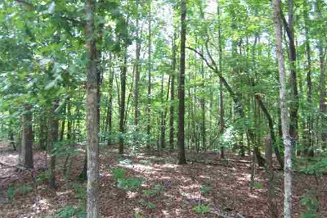 Astor Lane Chattooga Lake sold home in Chattooga Lake, Mountain Rest, SC