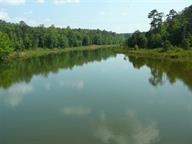 Lot 50 Lake Forest sold home in Calhoun Forest, Abbeville, GA