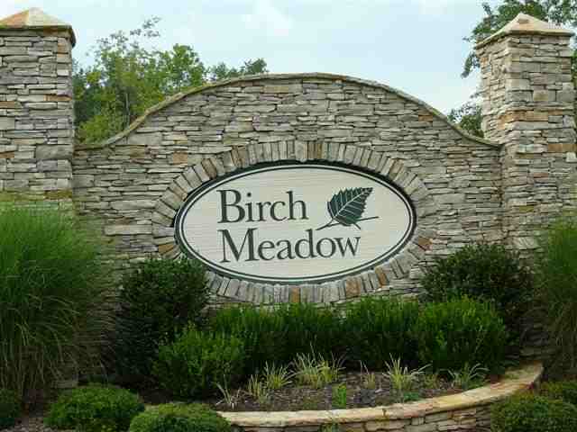 115 Muscadine Lane sold home in Birch Meadow, Piedmont, SC