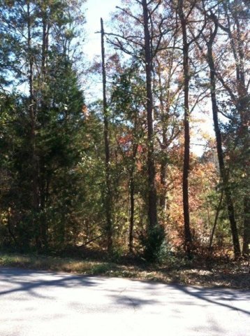 113 Mill Pond Road sold home in Lukes Crossing, Easley, SC
