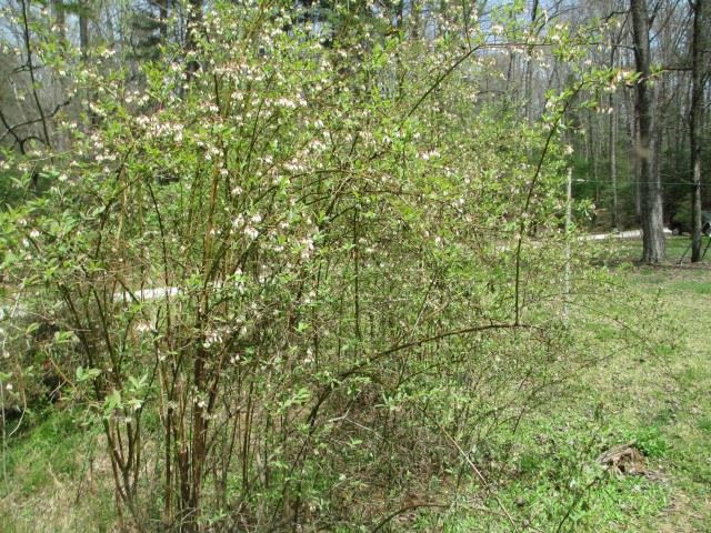 651 Chattooga Lake Road sold home in Chattooga Lake, Mountain Rest, SC