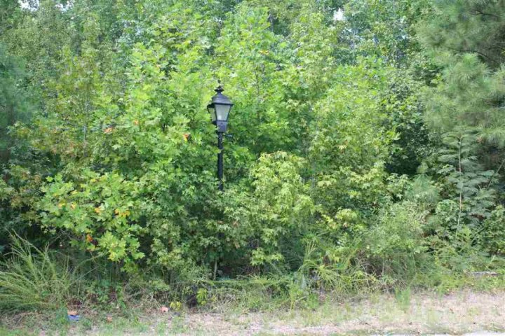 308 Evert Drive sold home in Bent Creek Ii, Piedmont, SC