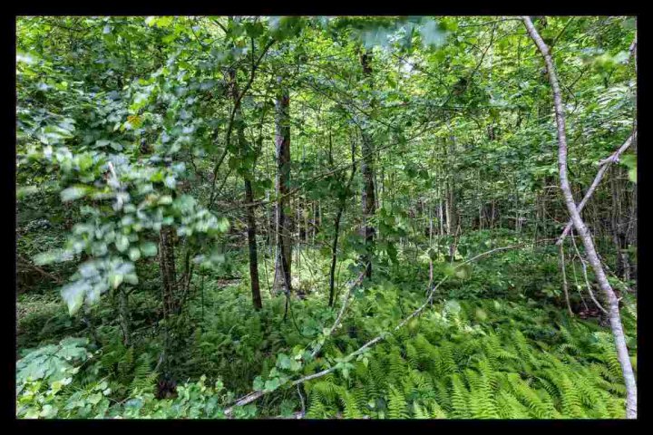 00 Lake Chattooga Lake Road LAKE CHATTOOGA sold home in Chattooga Lake, Mountain Rest, SC