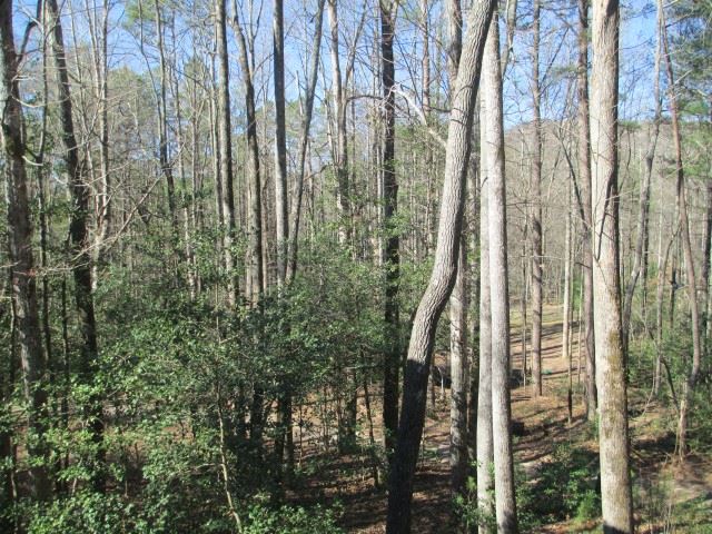 20 Astor Lane sold home in Chattooga Lake, Mountain Rest, SC