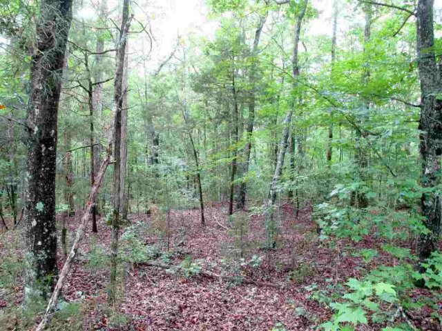 366 Calhoun Forest Drive sold home in Calhoun Forest, Abbeville, SC