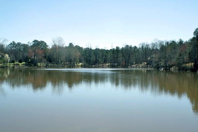 115 Crawford Lake Drive sold home in Crawford Lake, Easley, SC