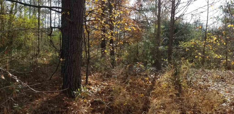 118 Cool Springs Drive sold home in High Creek Acres, Anderson, SC