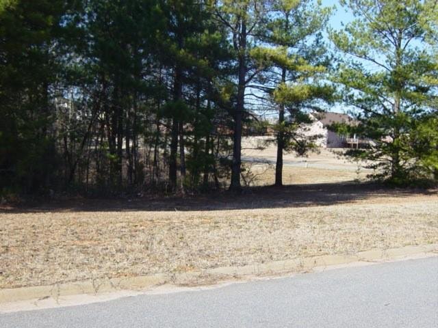 230 Andalusian Trail sold home in Bailey Creek, Anderson, SC