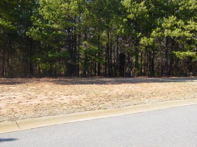 232 Andalusian Trail sold home in Bailey Creek, Anderson, SC