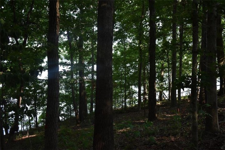 00 Sequoyah Road Lot 2 sold home in Seminole Point, Fair Play, SC