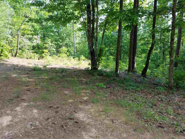 119 Oolenoy Court Lot 42 sold home in Woodmere At Table Rock, Pickens, SC