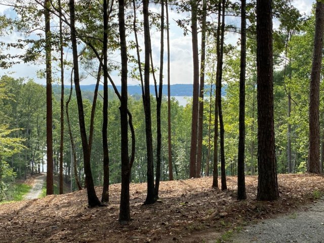 0 Sue Craig Road Lot 7 sold home in The Sanctuary at Keowee, Six Mile, SC