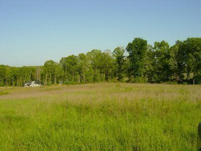 Lot 7 Arrowhead Lake Farms Trail sold home in Arrowhead Lake Farms, Westminster, SC