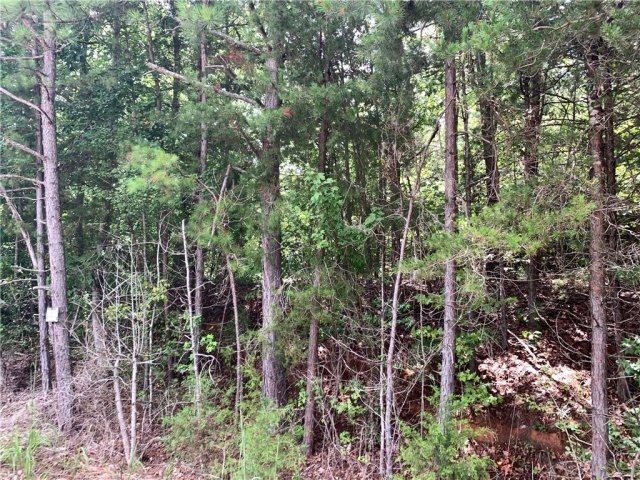 00 Martin Creek Road sold home in Heritage Oaks, Seneca, SC