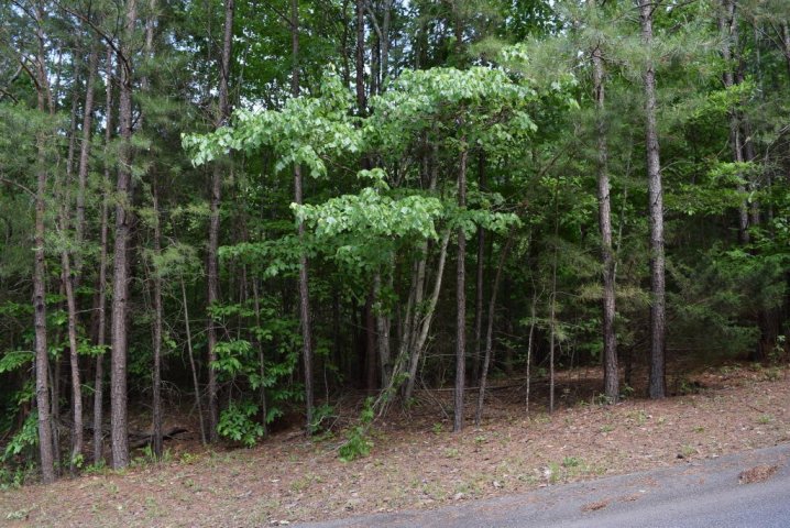207 Long View Lane sold home in Six Mile Ridge, Pickens, SC