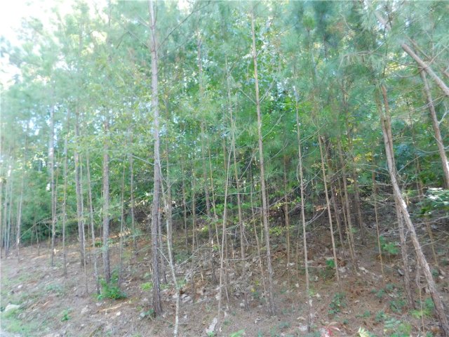 Lot 6 Bentwood Way active home in Cliffs At Keowee Falls South, Salem, SC