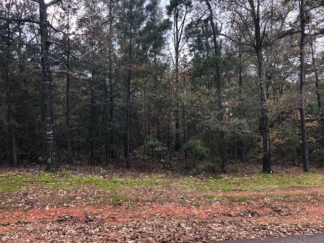184 Seminole Point Road sold home in Seminole Point, Fair Play, SC
