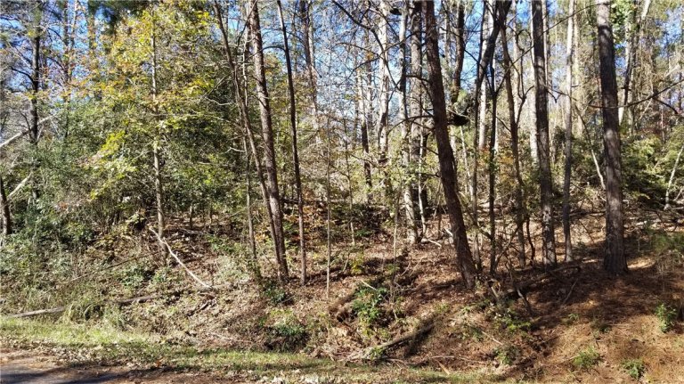 7 Forest Drive sold home in Shenandoah, Townville, SC