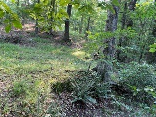 400 Bluefield Road sold home in Peachtree Acres, Starr, SC