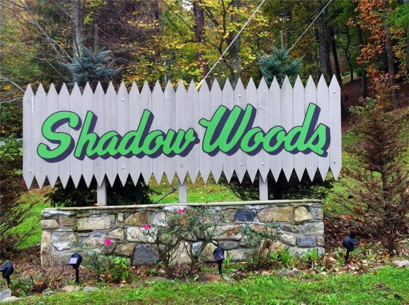 Property image 3 at 225 Merrie Way, Waynesville, NC 28786