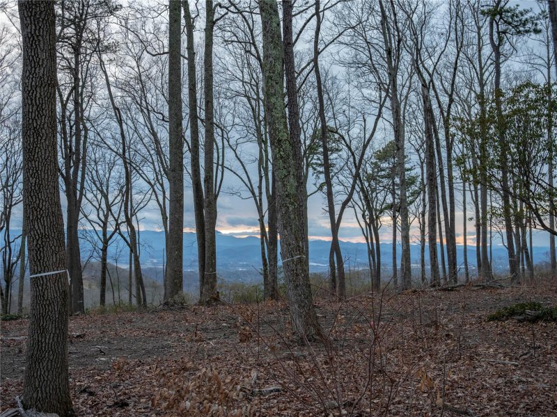 Property image 3 at 000 Mountain Grove Lane, Fletcher, NC 28732