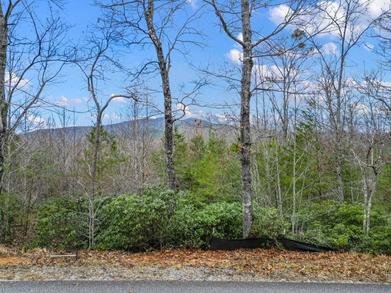 Tbd N Bear Cliff Drive