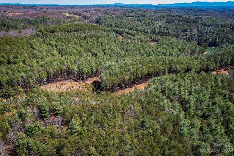 Property image 2 at 2413 Ivy Rays Way, Nebo, NC 28761