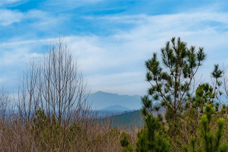 Property image 2 at 341 Westridge Drive, Bostic, NC 28018