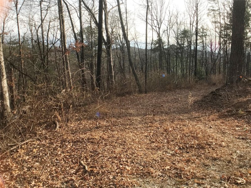 Property image 2 at 17 Arrowhead Ridge Road, Brevard, NC 28712