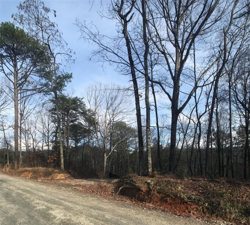 Property image 3 at 17 Arrowhead Ridge Road, Brevard, NC 28712