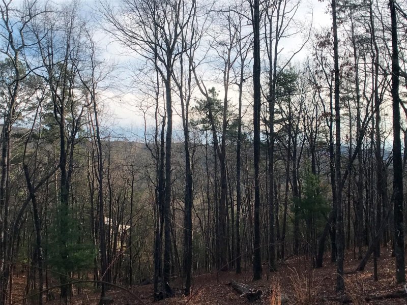 Property image 4 at 17 Arrowhead Ridge Road, Brevard, NC 28712