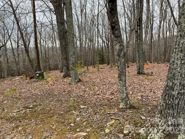 Property image 2 at 282 Cascading Creek Trail, Denton, NC 27239