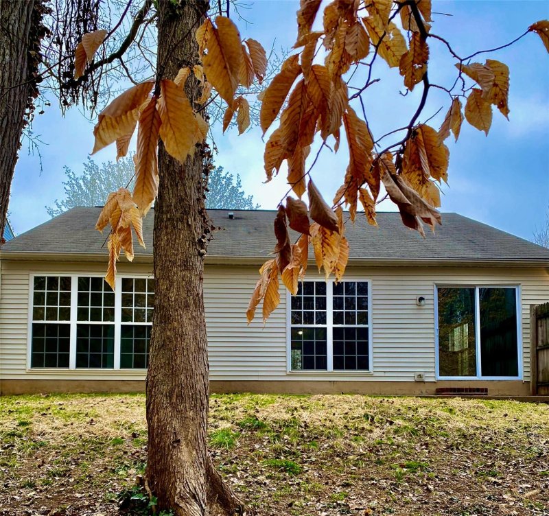 Property image 3 at 7415 Balancing Rock Court, Charlotte, NC 28262