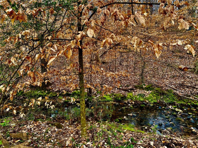 Property image 4 at 7415 Balancing Rock Court, Charlotte, NC 28262