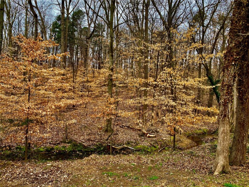 Property image 5 at 7415 Balancing Rock Court, Charlotte, NC 28262