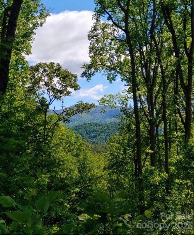 Property image 3 at 11 Hickory Top Lane, Asheville, NC 28805