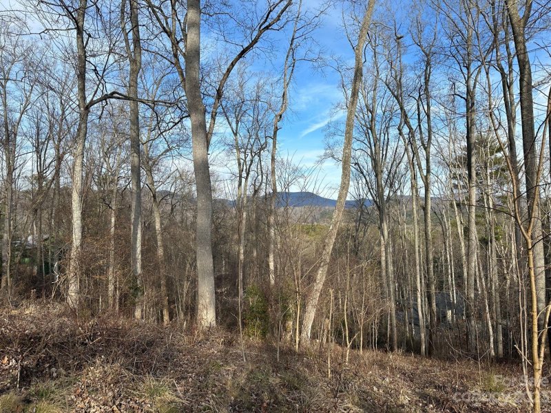 Property image 5 at 11 Hickory Top Lane, Asheville, NC 28805