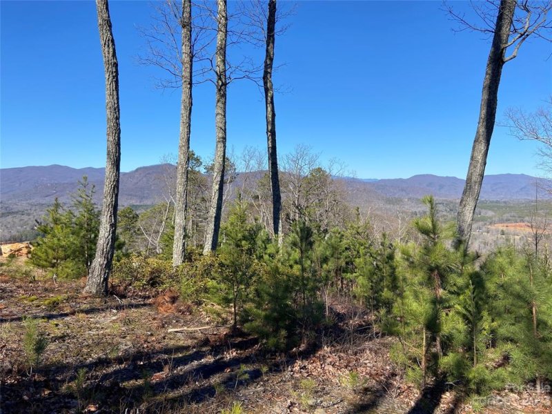 Property image 3 at 0 E Windswept Pass, Lake Lure, NC 28746