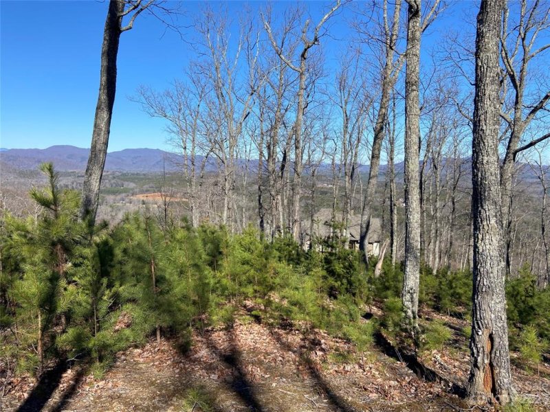 Property image 4 at 0 E Windswept Pass, Lake Lure, NC 28746