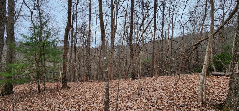 Property image 2 of 4 17 Acres Spruce Lane in The Cliffs Valley, Zirconia, NC 28790