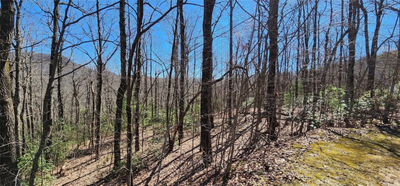 Property image 4 of 4 17 Acres Spruce Lane in The Cliffs Valley, Zirconia, NC 28790