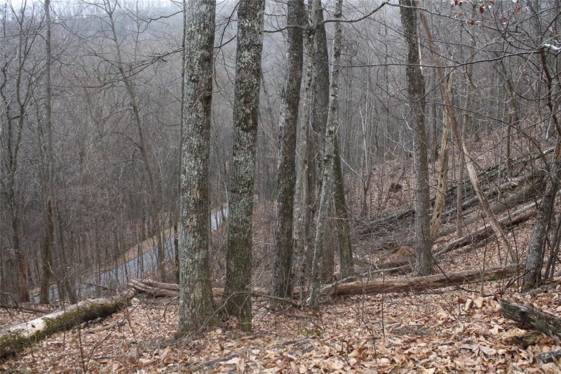 Property image 3 at 00 Eagles Nest Road, Waynesville, NC 28786