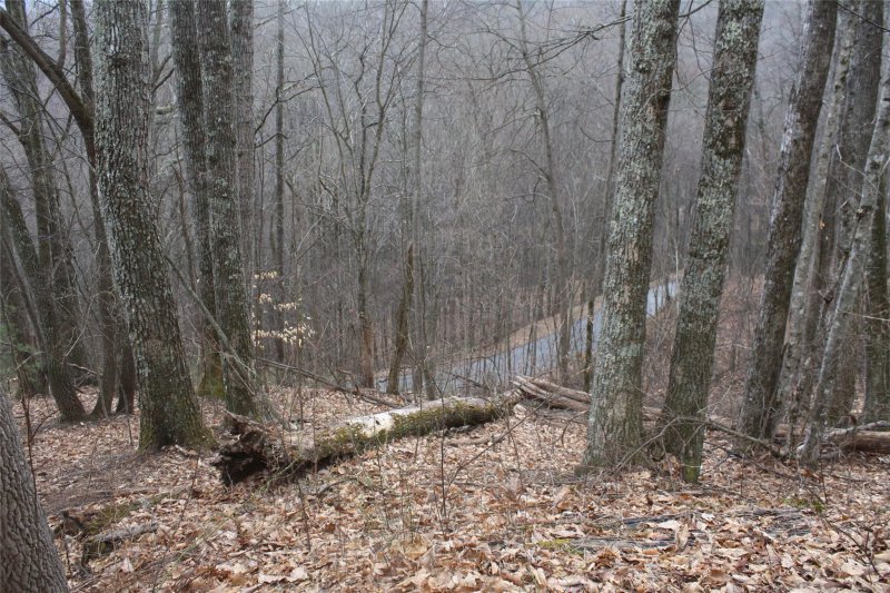 Property image 4 at 00 Eagles Nest Road, Waynesville, NC 28786