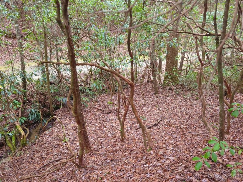 Property image 2 of 0000 Double Creek Drive in Oak Laurel, Brevard, NC 28712