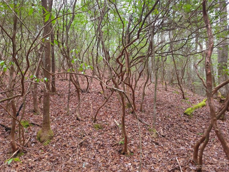 Property image 3 of 0000 Double Creek Drive in Oak Laurel, Brevard, NC 28712