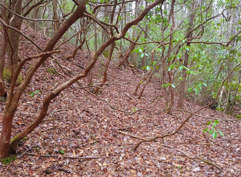 Property image 4 of 0000 Double Creek Drive in Oak Laurel, Brevard, NC 28712