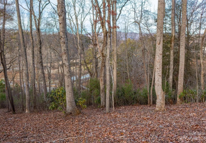 Property image 3 at 73 Bradford Vista, Fletcher, NC 28732